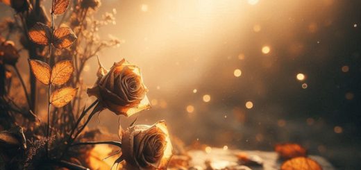 Gold Autumn Leaves with Withered Rose -atmospheric meditation on impermanence, memory, and decay, using autumn imagery to explore beauty found in gentle endings