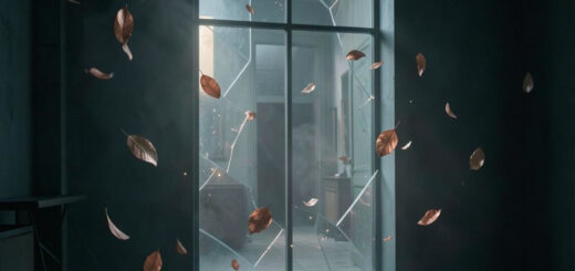 Petals Of The Rose Fractured Echoes